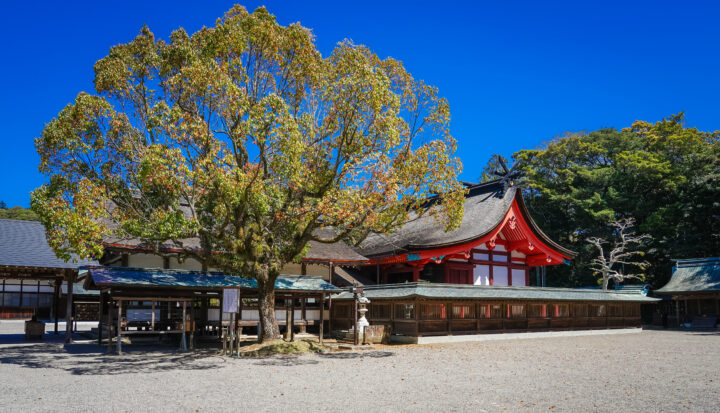 宗像市 シャッター修理・交換｜福岡文化シャッター販売の画像